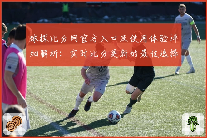 球探比分网官方入口及使用体验详细解析:实时比分更新的最佳选择
