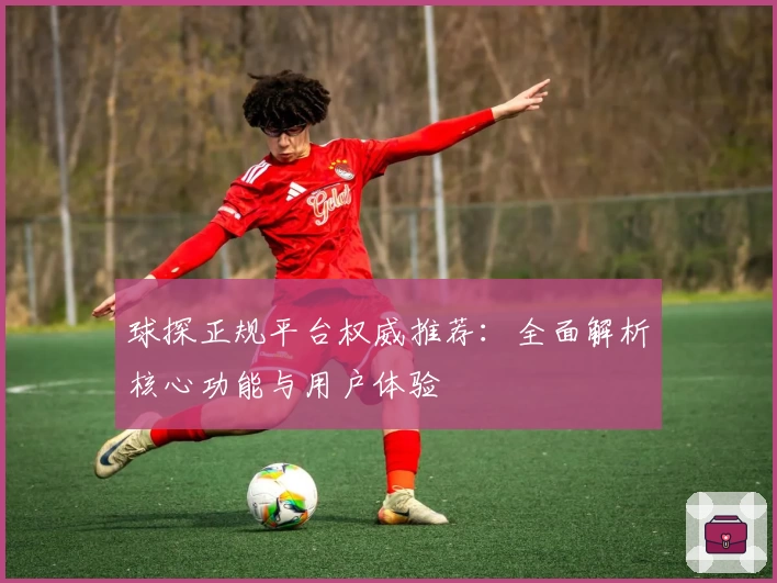 球探正规平台权威推荐：全面解析核心功能与用户体验
